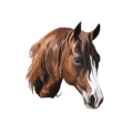 Stickers de Caballos para Whatsapp