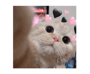 Stickers de Te Quiero para Whatsapp