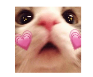 Stickers de Amor para Whatsapp