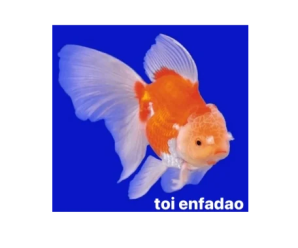 Stickers de Peces para Whatsapp